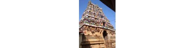 காசி விஸ்வநாதர்